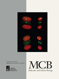 Cover image for Molecular and Cellular Biology, Volume 37, Issue 17, 2017
