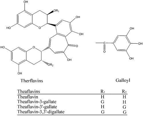 Figure 1 Structure of theaflavins.