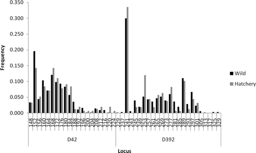 FIGURE A1 Comparison of allele frequencies at various microsatellite loci between hatchery and wild American shad from the Santee–Cooper River basin.