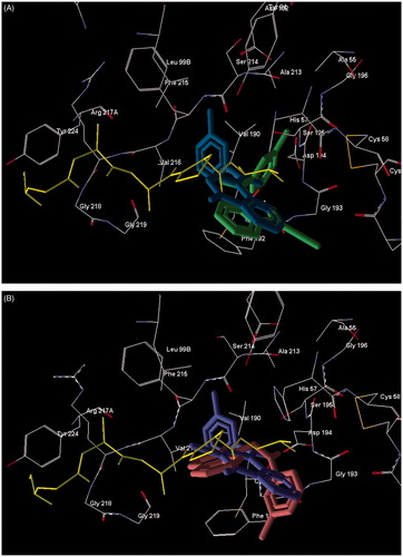 Figure 3. Superimposed docking poses of peptide chloromethyl ketone and novel small-molecule HNE inhibitors. Co-crystallized peptide chloromethyl ketone inhibitor is shown in yellow. Residues within 5 Å of this ligand are visible. Panel (A) Docking poses of reference compound 5bCitation28 (dark-green) and compound 18a (blue). Panel (B) Docking poses of compounds 16b (violet) and 17b (brown).