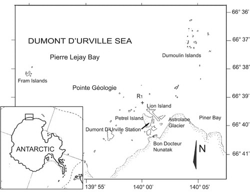 Fig. 1 Map showing the position of station R1 (+) in Pierre Lejay Bay, Dumont d'Urville Sea, Adélie Land, East Antarctica.