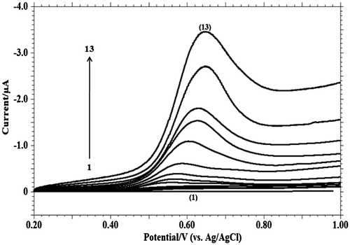 Figure 6. Linear sweep voltammograms of 1.0 mM MDH in 0.2 M phosphate buffer solution of pH 9.2 at scan rate of: (1) blank; (2) 0.001; (3) 0.002; (4) 0.004; (5) 0.008; (6) 0.01; (7) 0.02; (8) 0.04; (9) 0.06; (10) 0.08; (11) 0.15; (12) 0.20; (13) 0.30 V s−1.