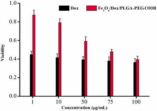 Figure 6. In vitro cell viability analysis. Viability of MCF-7 cells treated with DOX and Fe3O4/DOX/PLGA-PEG complexes for 24 h.
