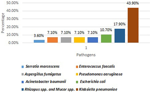 Figure 2 Spectrum of pathogens in Secondary infections in COVID 19.
