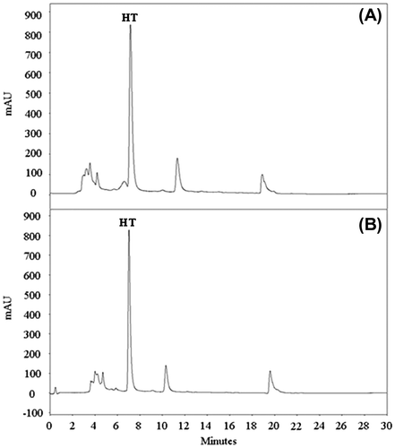 Fig. 4. UV chromatogram at 280 nm of E. coli LMFP 679 grown in TSN supplemented with HT at time 0 h (A) and after incubation at 37ºC for 20 h (B).