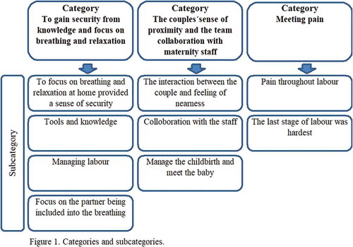 Figure 1. Categories and subcategories