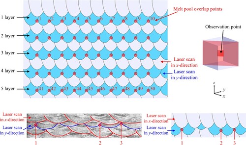 Figure 10. Calculation of melt pool continuity. The melt pools generated by laser scan in the y-direction are indicated with light blue colour. Red points between the melt pools represent overlapped points.