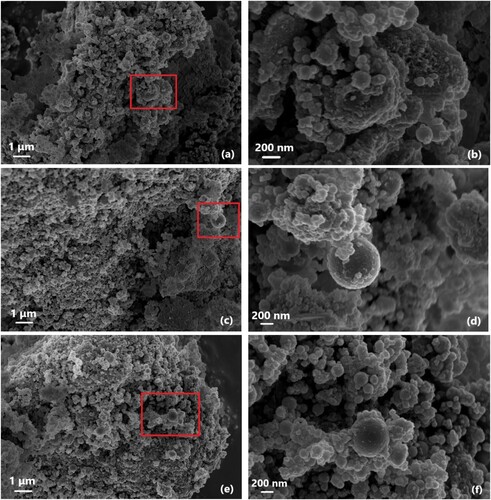 Figure 13. SEM images of MSH-MK05, showing: (a) sample after 3 d of hydration, (c) sample after 7 d of hydration and (e) sample after 28 d of hydration, ((b) (d) (f) are the enlarged version of (a) (c) (e), respectively).