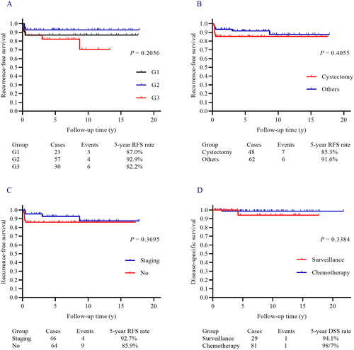 Figure 2. (A–C) Tumor grades (a), surgical options (B), and incomplete surgical staging (C) did not significantly affect the RFS in stage I POIT excluded IA G1. (D) Adjuvant chemotherapy did not significantly improve the DSS rate compared with active surveillance in stage I POIT except IA G1.