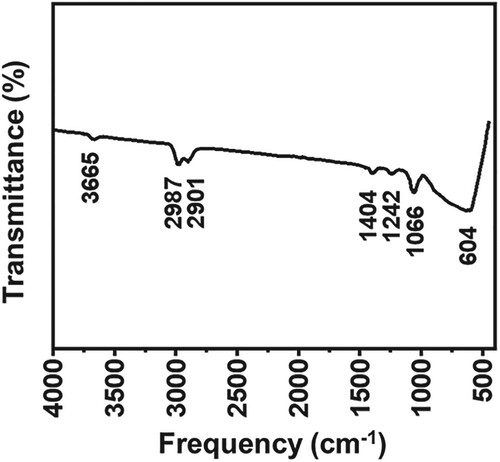 Figure 4. Represents the FTIR spectra of the CuAlO2 synthesized by the phytochemical-assisted sol-gel method.