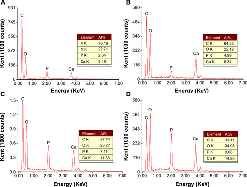 Figure S2 Energy-dispersive X-ray spectroscopy analysis of the control group, group 1, group 2, and group 3 of the PEEK/n-HA/CF ternary biocomposites.Notes: (A) Control group; (B) group 1; (C) group 2; and (D) group 3 of the PEEK/n-HA/CF ternary biocomposites.Abbreviations: At%, atom percentage; PEEK/n-HA/CF, carbon fiber-reinforced polyetheretherketone–nanohydroxyapatite.