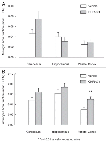 Figure 9 Quantification of immunostaining of activated microglia (A) and reactive astrocytes (B) in cerebellum, hypothalamus and parietal cortex of intraperitoneally-infected mice treated with vehicle or CHF5074. Columns indicate the mean brain area fraction occupied by Iba-1 immunoreactive microglia (A) and GFAP-immunoreactive astrocytes (B). Error bars represent the standard error of the means.