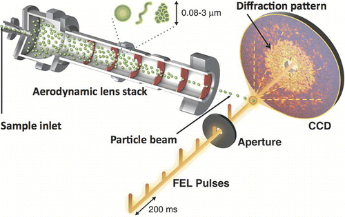 FIG. 1 FLASH diffraction of aerosols in situ. Aerosols delivered through a differentially pumped aerodynamic lens stack are converted into a particle beam that is steered into the x-ray interaction region. FLASH is operated at 5 Hz in multi-bunch mode with 100 pulses per bunch separated by 10 μ s. Upon coincident arrival of a particle and X-ray pulse with readout of an X-ray sensitive area detector, a diffraction pattern containing particle structural information is recorded.