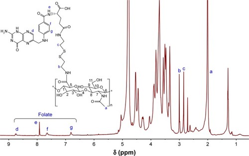 Figure 4 1H NMR spectrum of HA-ss-FA conjugates in deuterium oxide (600 MHz).Note:ãg represent the characteristic proton peaks and the corresponding atomic numbers in HA-ss-FA.Abbreviations: FA, folic acid; HA, hyaluronic acid; NMR, nuclear magnetic resonance.