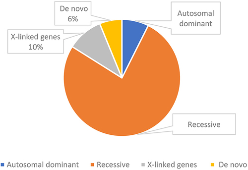 Figure 3 Zygosity of the identified variants of patients.