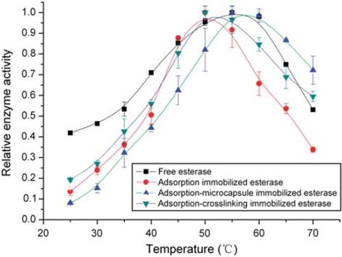Figure 1. Temperature effects on relative enzyme activity of free and immobilized chicken liver esterase.