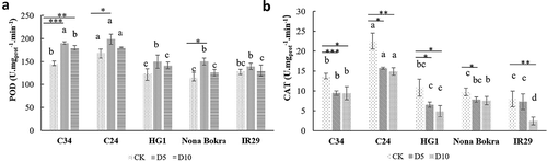 Figure 5. POD and CAT activities of seedlings. Four-weeks old C34, C24, HG1, Nona Bokra, and IR29 seedlings were treated by 100 mM NaCl treatments for 5 d and 10 d, respectively. Seedlings were harvested after treatment, seedlings without NaCl treatment were used as control. (A) POD activity. (B) CAT activity. Each treatment was having 3 replicates, 12 plants were calculated in each replicate. Data key: Different letters stand for having significant difference (P < .05) within the same treatments. Asterisks (*) indicate significant differences between control and salt-stressed seedlings of the same genotype which were determined by Student’s t-test (*0.01 < P ≤ 0.05, **0.001 < P ≤ 0.01, ***P ≤ 0.001).