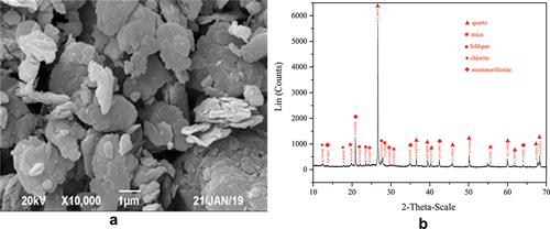 Figure 2. Result of SEM image and XRD image: (a) SEM image; (b) XRD image.