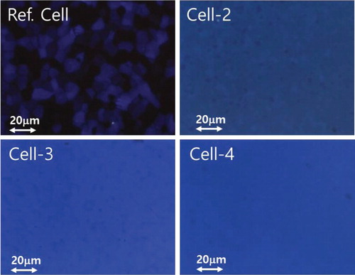 Figure 4. POM images of BPII at 69°C in the reference cell (top) and the three different cells with varying PI tilt angles, from left to right: 1–2° pretilt angle (Cell-2), 4–5° pretilt angle (Cell-3), and 5–6° pretilt angle (Cell-4).
