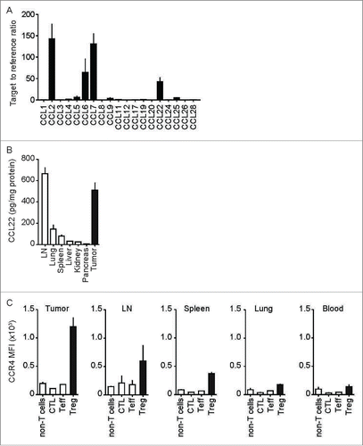 Figure 1. CCL22 is expressed in murine pancreatic tumors. (A) Panc02-OVA tumors were dissected and quantitative real-time PCR was used to assess mRNA levels of all known C-C chemokines. (B) Murine CCL22 protein concentrations were quantified in different organs of tumor-bearing mice using ELISA. (C) Using anti-CCR4 antibodies, non-T cells (CD3neg.), CTL (CD3+CD8+), Teff (CD3+CD4+CD25neg.) and Treg (CD3+CD4+CD25+) harvested from tumors and different organs of tumor bearing mice were stained and MFIs for CCR4 were determined using flow cytometry. Data are presented as mean of biological triplicates ± SEM and are representative of two independent experiments.