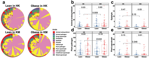 Figure 3. Putative fungal functional profiles in the fecal samples of lean and obese subjects from Hong Kong and Kunming cohorts. (a) Pie chart of the 12 guilds in the fecal samples. Lean in HK, lean subjects in Hong Kong; obesity in HK, obese subjects in Hong Kong; lean in KM, lean subjects in Kunming; obese in KM, obese subjects in Kunming. (b-e) relative abundance of animal endosymbiotic (b), epiphytic (c), plant pathogenic (d), plant saprotrophic (e) fungi in the fecal samples. All data are presented as the mean ± SEM. Bars with numbers indicate statistical differences, p-values are from t-test.