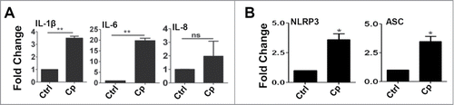 Figure 3. C. pseudodiphtheriticum causes expression of cytokines and activation of inflammasome. HCEC were infected with C. pseudodiphtheriticum for 4 hours, washed and RNA was isolated, reverse transcribed and expressions of cytokines (A) and inflammasomes (B) were determined by quantitative PCR. (*) designates P < 0.05.