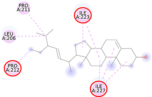 Figure 9 2D molecular interaction of stigmasterol in the SIRT1 allosteric activator binding site (PDB ID 4ZZJ), visualized by employing the Discovery Studio Visualizer 4.0. Red circles indicate important amino acid residues (Pro212, Ile223, and Ile227). Alpha-helices are shown in red color, and the loops and turns are colored grey. Pink dashed lines indicate pi-alkyl hydrophobic interaction.
