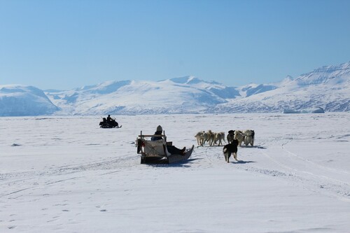 Figure 2. Snowmobiles and dogsleds are common modes of transportation on shorefast ice in Uummannaq Fjord. Here from April 2019. Credit: S.Cooley.