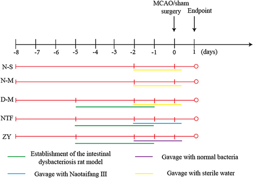 Figure 2 Treatment of each group.