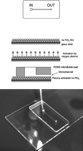 Schematic diagram of the microfluidic device used for miniaturized FISH.