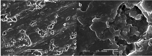Figure 6. (A) Surface SEM of coated graphene oxide on geopolymeric substrate. (B) Surface SEM of single pore size and structure of porous-coated graphene oxide
