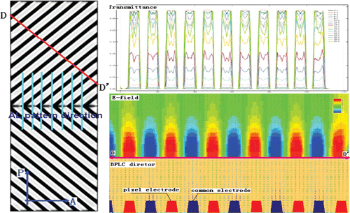 Figure 3. Proposed structure brightness distribution at the voltage on state and the cross-sectional view of BPLC profile, E-field and voltage-dependent transmittance.