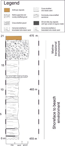 Figure 4. Stratigraphic section of the Pleistocene regressive marine and transitional sedimentary sequence, outcropping in the Uggiano site.