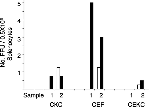 Figure 3. Number of FFU isolated in CKC, CEKC, and CEF cultures inoculated with 0.5×106 cells/culture of tumour material (p2 in CKC) from a Silkie hen (sample 1) and NC tumour cells (sample 2). The FFU represent the average for four cultures/sample. Foci were enumerated at 4 d.p.i. (open bars) and 6 d.p.i. (closed bars). The absence of a bar indicates the absence of foci.