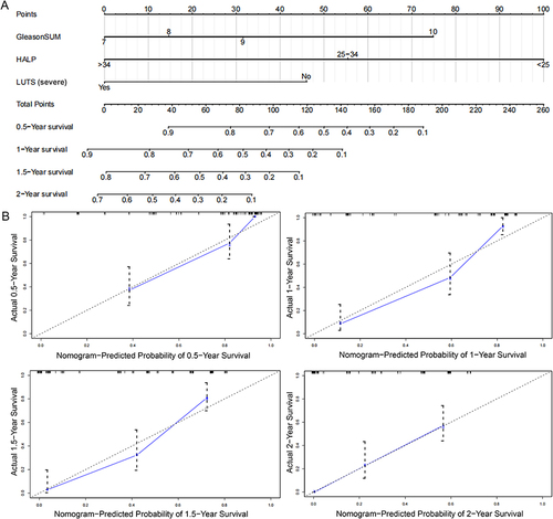 Figure 1 Establishment and validation of a combined nomogram in the training cohort. (A) Nomogram based on lymphocyte, albumin, HALP score and Gleason sum, was constructed to predict the 0.5-, 1-, 1.5 and 2-year CRPC free survival. (B) Predictive accuracy of the nomogram was assessed by the calibration plots.