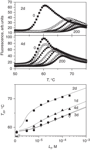 Figure 3. TSA data of 1–4d binding to CA XIII. The top panels compare denaturation curves observed by fluorescence at 0–200 µM added compound concentrations. The bottom panel shows the dependence of the protein melting temperatures Tm on compound concentrations.