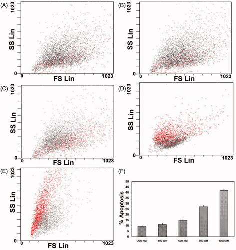 Figure 7. FACS analysis of primary MRPE cells after exposure to different concentrations of ZnS-NPs for 24 h. (A) Cells treated with 200 nM. (B) Cells treated with 400 nM. (C) Cells treated with 600 nM. (D) Cells treated with 800 nM. (E) Cells treated with 1000 nM. (F) Graph representing the percentage of apoptotic cells. Results are representative from three independent experiments. The standard deviations are shown.