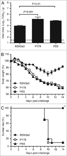 Figure 7. Cross-protective immunity of recombinant RSM2e3 spores against H1N1 virus challenge. Wild-type PY79 and PBS were used as the controls. (A) Virus titers in RSM2e3-immunized mouse lung tissues tested at 5 d post-A/PR/8/34(H1N1) virus challenge. The data are expressed as mean ± SE of viral titers (Log10TCID50/g) of lung tissues from 5 mice per group. The lower limit of detection is 1.5 Log10TCID50/g of tissues, as indicated by the dotted line. Percentage of body weight change (%) (B) and survival rate (%) (C) of RSM2e3 spore-immunized mice after challenge with A/PR/8/34(H1N1) influenza virus are shown.** indicates significant difference (P < 0.01) between RSM2e3 group and PY79 or PBS group.