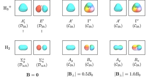Figure 5. Isosurfaces of occupied MOs in the lowest MS=−1 UHF solutions in H3+ and H2 in the presence of a perpendicular magnetic field. For each molecule, the optimal geometry at |B⊥|=1.0B0 is used to calculate the UHF solution, which is then tracked smoothly to B=0 with the help of the MOM as the field is switched off while keeping the geometry fixed. This is to generate the corresponding MOs at zero field for investigation purposes. The isosurface for MO φi(r) is plotted at |φi(r)|=0.08, and the colour at each point r on the isosurface indicates the phase angle arg⁡φi(r)∈(−π,π] at that point according to the colour wheel shown in Figure 4.†,‡ These MOs turn out to be slightly symmetry-broken at zero field, both of which having actual symmetry A1′⊕E′. This symmetry breaking, however, is not discernible from the isosurface plots and thus does not affect the qualitative argument given in the main text. Furthermore, as the perpendicular field is introduced, the MOs become symmetry-conserved.
