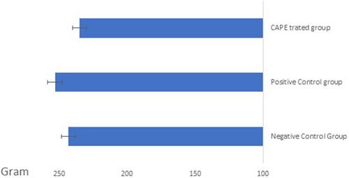 Figure 1 Baseline values of body weight (gram) for the study groups.