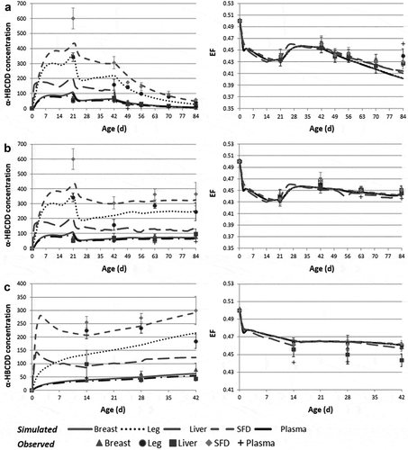 Figure 2. Observed and simulated α-HBCDD concentration (ng g−1 lipid weight)1 and enantiomeric fraction (EF)2 in tissues of broilers exposed to a contaminated feed (38 µg α-HBCDD kg−1). (a): slow-growing broilers exposed during 42 days and then decontaminated during 42 days (used for optimisation); (b): slow-growing broilers exposed during 84 days; (c): fast-growing broilers exposed during 42 days.