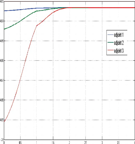 Figure 15. Adjoint functions for a sufficient large budget and a small tumor cells population relatively compared to the level of the equilibrium, N(0) = (0.3866, 0.1722, 0.4412).