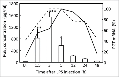 Figure 7. Time-course analysis of PGE2 concentration in the CSF (open columns), and PGT mRNA in the brain (subarachnoidal blood vessels: solid line, arachnoid membrane: dotted line) after LPS injection. Values of PGT mRNA signals were converted to a percentage of the maximum level obtained at 5 h after the injection. The original values and SE were shown in Figure 3. PGE2 concentration denoted by asterisks were significantly different from that of UT (untreated) group (*P < 0.05, **P < 0.01, ***P < 0.001).
