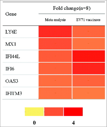 Figure 3. The meta-analysis and EV71 vaccinated group validation results of 6 type I IFN related genes. Note: PBMC for baseline and day 3 after the vaccination from 8 EV71 vaccinees were assayed by RT-PCR. FC of each gene was the arithmetic average of the expression of 3 day post-vaccination/ 0 day pre-vaccination. FC greater than 1.5 is shown in red in the figure.