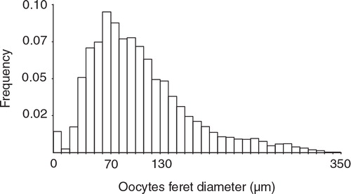 Fig. 3 Relative frequency of oocytes’ diameter in polyps of Malacobelemnon daytoni (100 colonies, n = 5360).