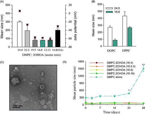 Figure 2. Effects of 2OHOA insertion on the physicochemical characteristics of liposomes. (A) Effects of 2OHOA content on the mean particle size and zeta potential of liposomes. Liposomes were prepared with the indicated molar ratio of DMPC and 2OHOA. For comparison, oleic acid-inserted liposomes were prepared with a 16:8 molar ratio of DMPC and oleic acid. (B) Effect of 2OHOA insertion on the mean size of liposomes prepared with DOPC or DPPC. Liposomes were prepared with a 16:8 molar ratio of PC and 2OHOA. (C) Representative TEM image of 2OHOA-inserted liposomes. Liposomes were prepared with a 16:8 molar ratio of DMPC:2OHOA. (D) Time-dependent changes in the mean particle size of liposomes with varying 2OHOA content. Liposomes prepared with the indicated ratio of DMPC and 2OHOA were stored at room temperature for up to 28 days. Data are expressed as means ± SD (n = 3; *p < .05, **p < .005 compared with the initial condition).