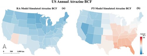 Figure 5. (a) RA-model estimated U.S.A. state average annual Atrazine BCF map (b) PT-model estimated U.S.A. state average annual Atrazine BCF map.