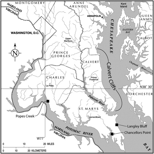 FIGURE 2. Map of the northern Chesapeake Bay region of Maryland and Virginia showing the localities incorporated in this study: Calvert Cliffs, Popes Creek, Langley Bluff, and Chancellors Point. Modified from Visaggi and Godfrey (Citation2010).