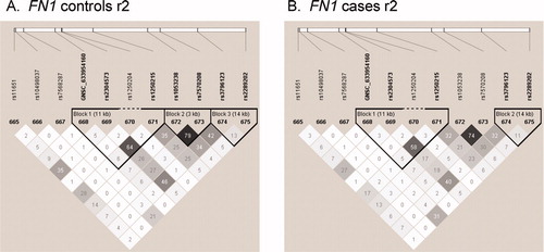 Figure 2.  Haploview plots of genes identified in analyses of haplotype tests of association in fetal samples. LD plots were generated in Haploview and are presented for: (A) FN1 controls r2; (B) FN1 cases r2. Within each triangle is presented the pair-wise correlation coefficient (r2) LD plots whit1 (r2 = 01 shades of gre1 (0 < r2 <11 blac1 (r2 = 1).