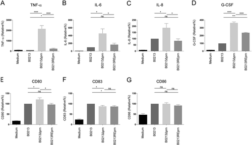 Fig. 2 moDC stimulation with B0213Δprn induced increased pro-inflammatory cytokine production compared to B0213 or B0213REprn stimulation.MoDCs were stimulated with B0213, B0213Δprn or B0213REprn at an MOI of 10 or left unstimulated for 48 h. Using luminex, moDC production of a IL-6, b TNF-α, c IL-8, and d G-CSF in the supernatant and surface expression, using flow cytometry, of e CD80, f CD83, and g CD86 was determined. Experiments were performed using at least three donors *P ≤ 0.05, **P ≤ 0.01, ***P ≤ 0.001, ****P ≤ 0.0001
